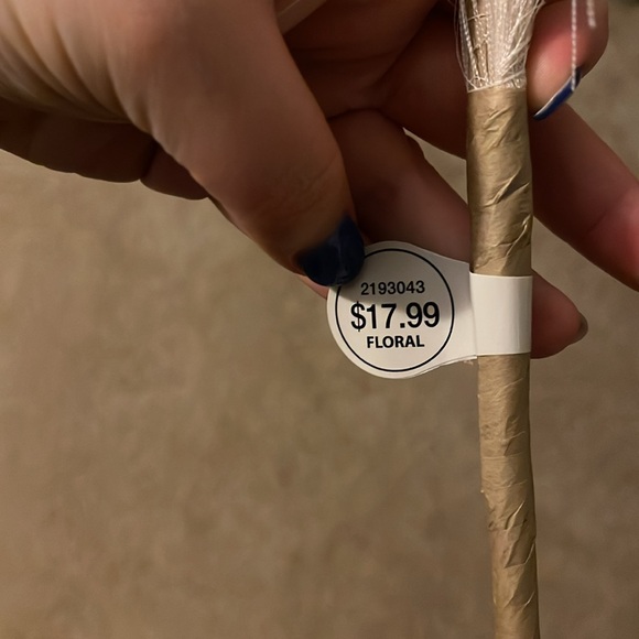 Tall pampas grass - Picture 3 of 3